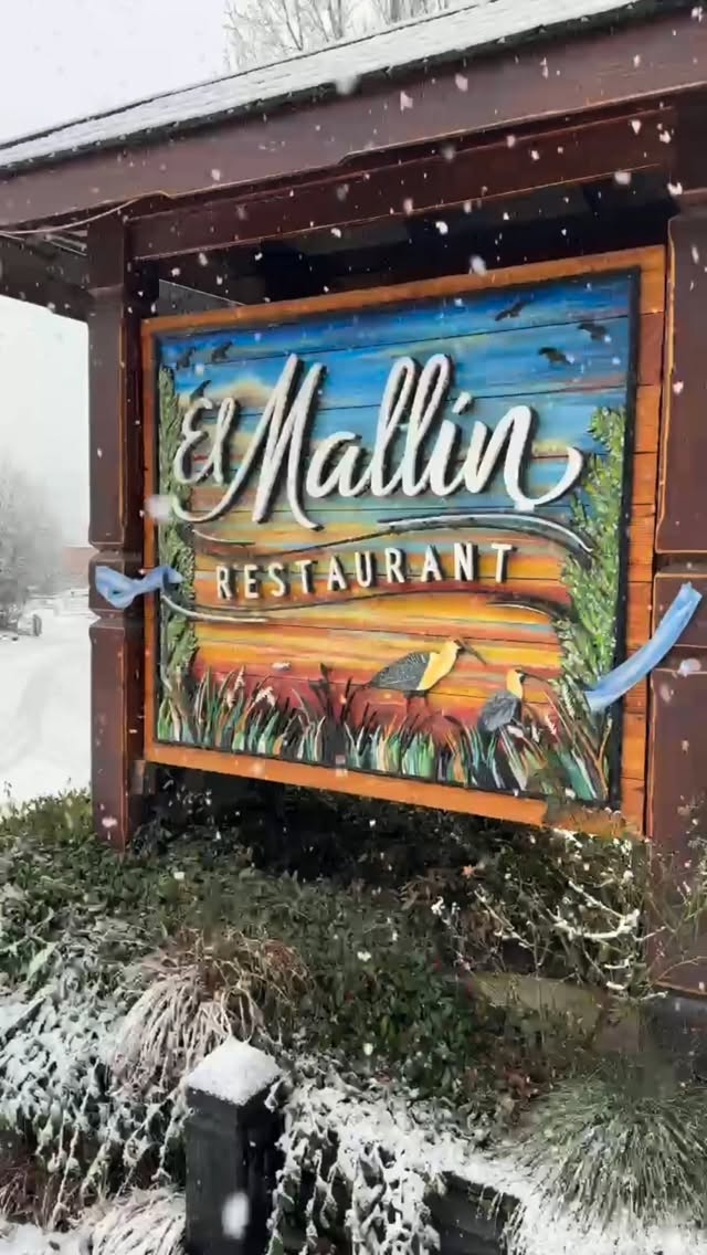 El Mallín