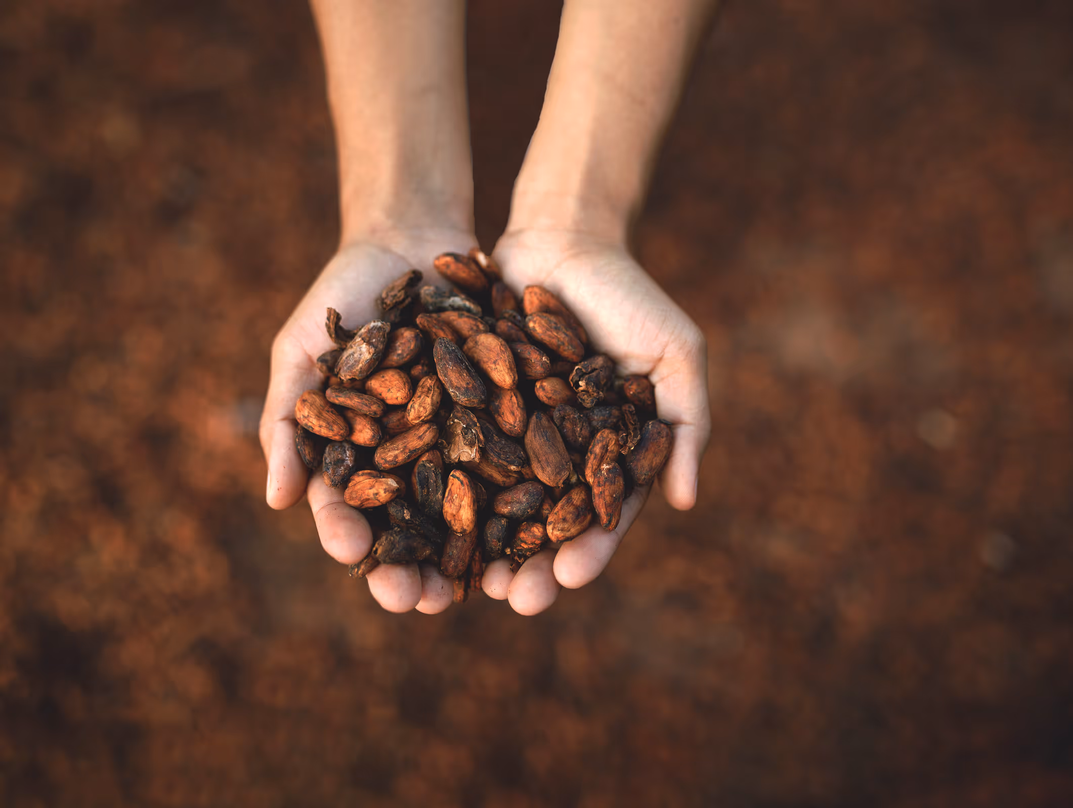 Cacao